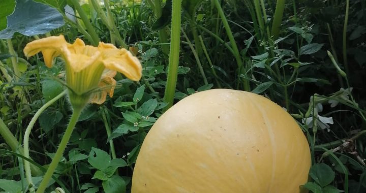 Kopīgs darbs dod labumu visiem