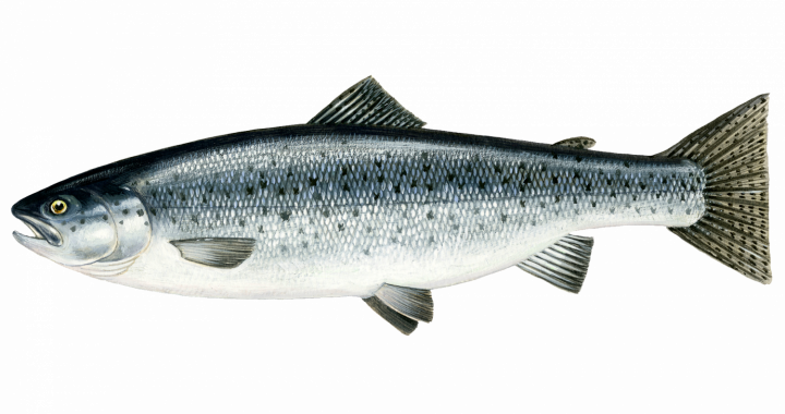 Attieksme mainījusies