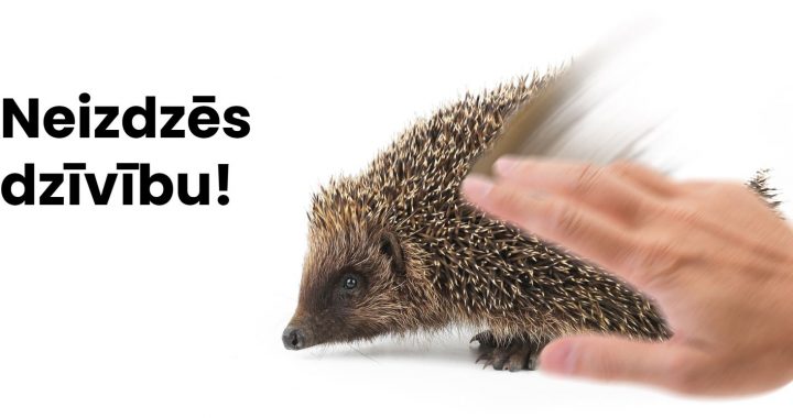 Labākās mājas savvaļas dzīvniekiem ir savvaļa!