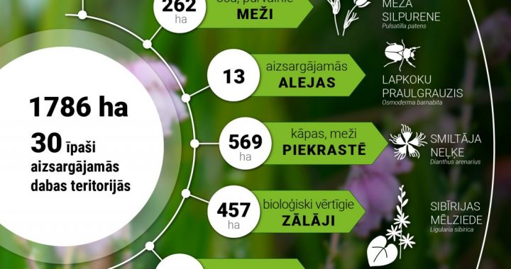 Dabā renovēti teju 1800 ha biotopu