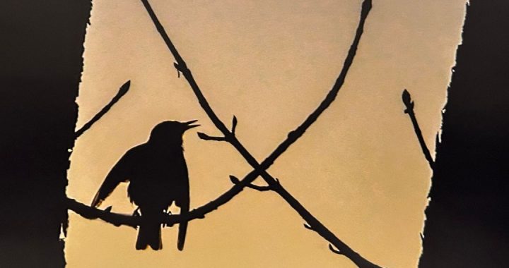 Piedzīvo mākslas burvību, apmeklējot izstādes Tukuma pusē