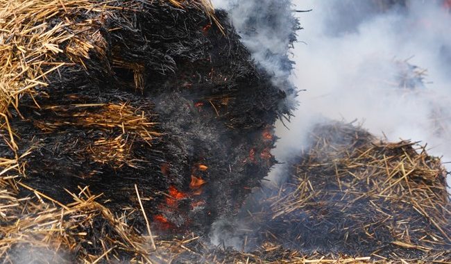 Kā brīvdienas aizvadītas