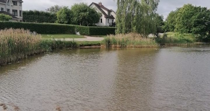 Veļķu dīķī – meniķa bojājums/papildināts 16.00/