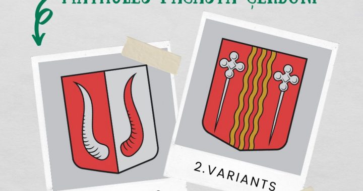 Aicina izteikt viedokli par Matkules pagasta ģerboņa variantiem