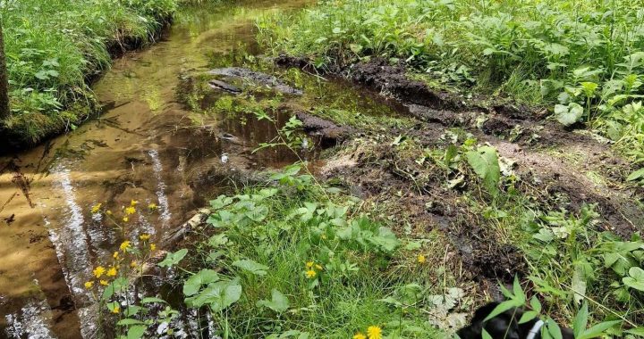 Izbraukā mežu!? Aicina ziņot.