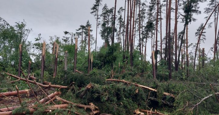 Sinoptiķi brīdina: Latvijā pirmdien gaidāma viena no spēcīgākajām vasaras vētrām vēsturē
