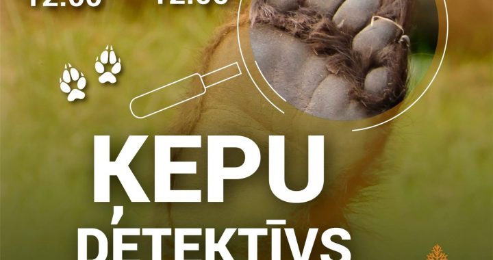Līgatnes dabas takās būs «Ķepu detektīvs»