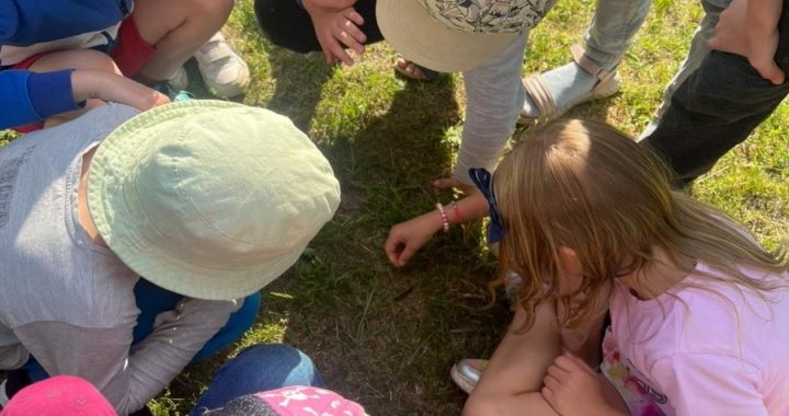 Aicina piedalīties aptaujā bērnu vecākus