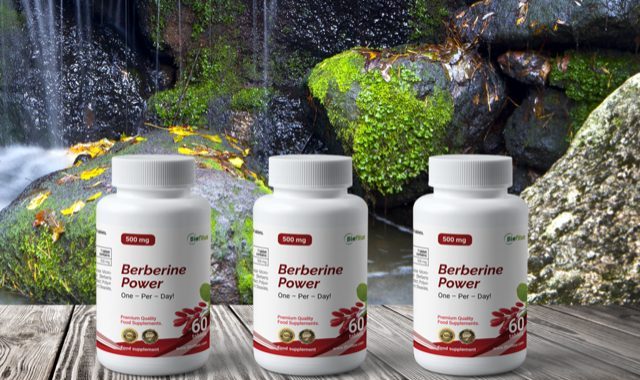 Berberīns – Noslēpums Labākai Pašsajūtai