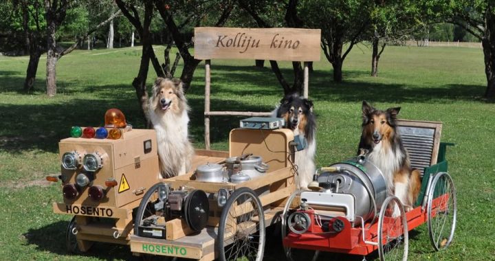 Iespēja atbalstīt jaunākās kolliju filmas tapšanu!