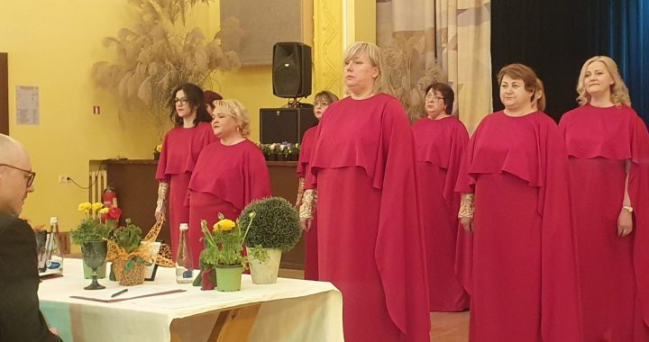 Novada ansambļu skatē