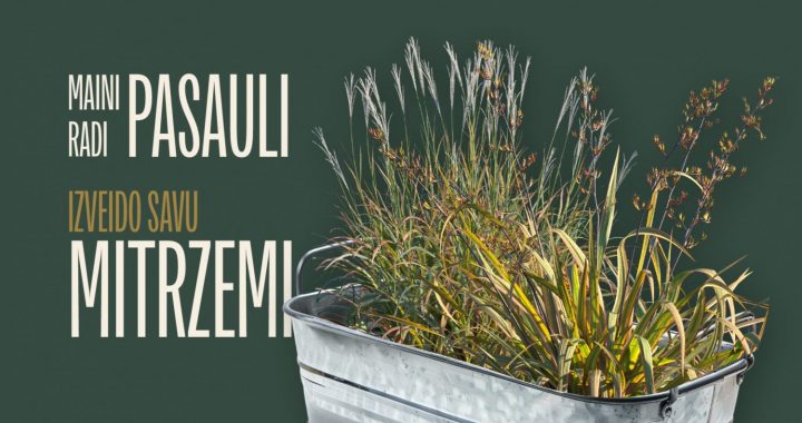 Latvijas Dabas fonds aicina skolas piedalīties akcijā “Izveido savu mitrzemi!”