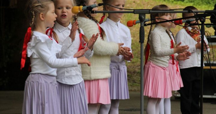 Dziesmu un deju lietus Irlavā