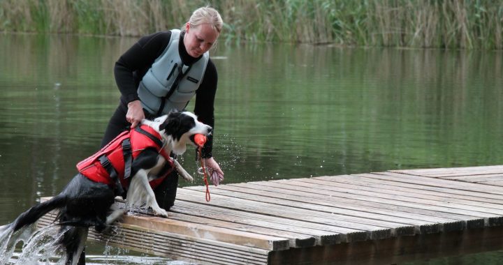 Teteriņu ezerā būs mācības suņiem