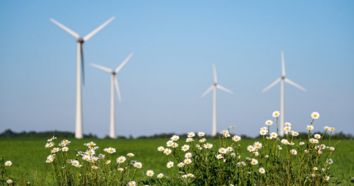 Vēja enerģija bez mītiem – fakti par trokšņiem un vibrācijām