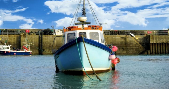 Licences būs elektroniskas; lemšanā iesaistīta biedrība «Mazjūras zvejnieki»