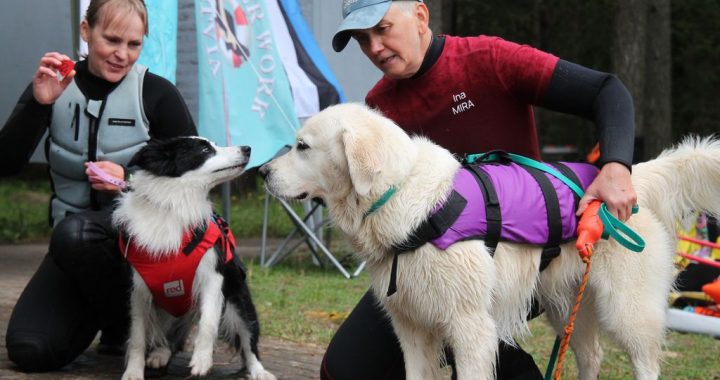 «Talsu valis» Kandavā