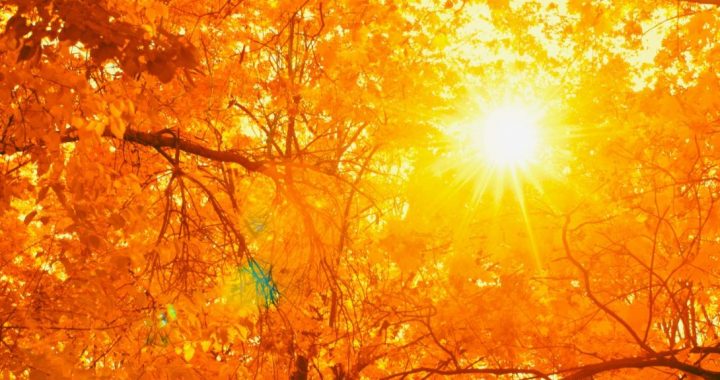 Dabas muzejā skolēnu brīvdienās – Ģimenes dienas