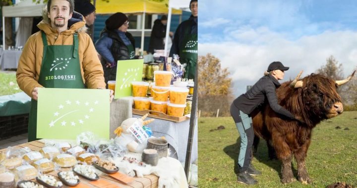 «Sējējs» balvas saņem arī novadnieki