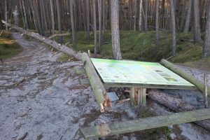 Vēl daži vēja nedarbi…