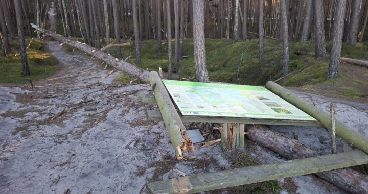 Vēl daži vēja nedarbi…