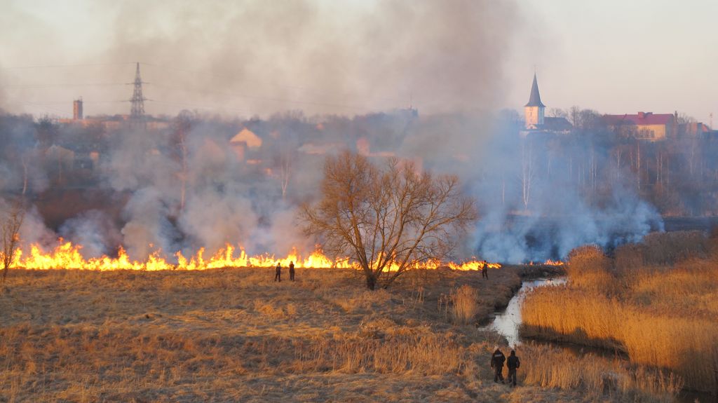 ACULIECINIEKI: kūlas ugunsgrēki Tukumā /FOTO/