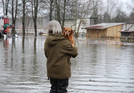 Turpina atjaunot elektroapgādi plūdu skartajām mājsaimniecībām