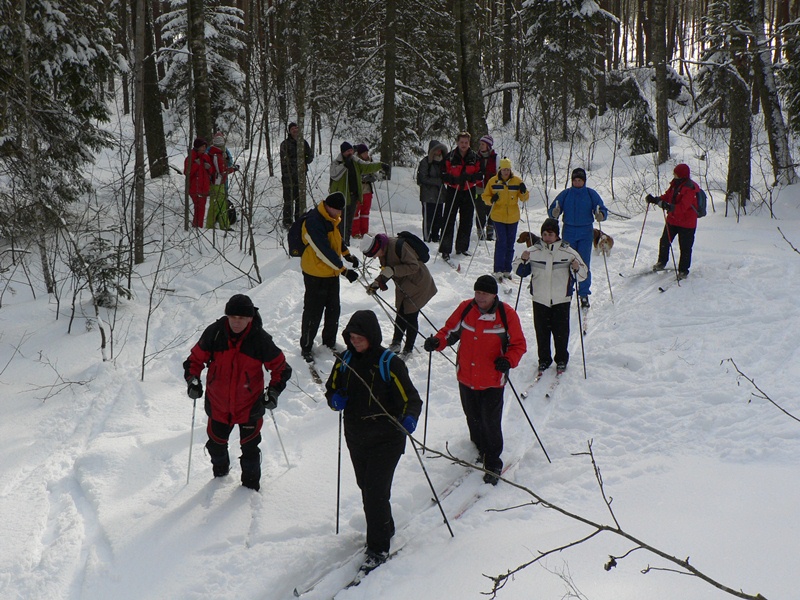 Bezmaksas slēpojums Ķemeru nacionālajā parkā