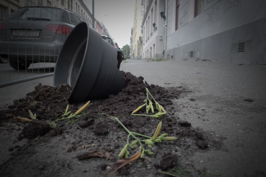 Brīvdienās Tukumā labprāt zagti velosipēdi un… puķu podi