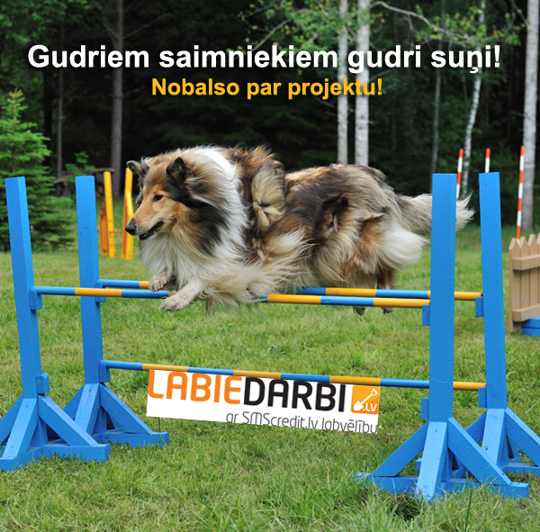 Gudriem saimniekiem gudri suņi