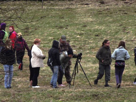 Aprīļa beigās notiks ikgadējās Putnu dienas Latvijā