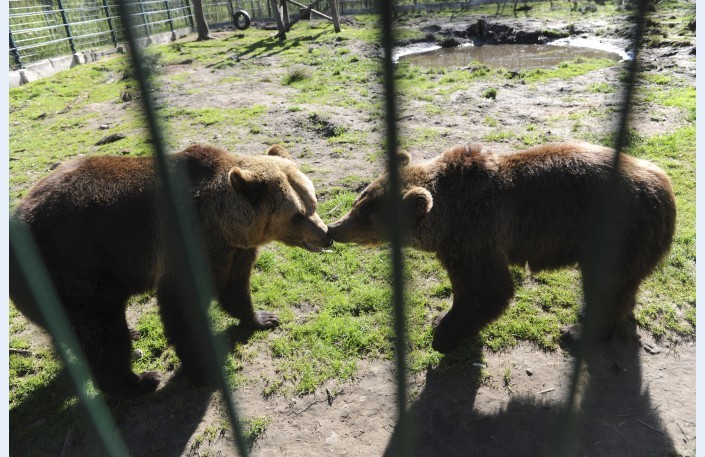 Lāču māju Līgatnē pabeigs novembra vidū