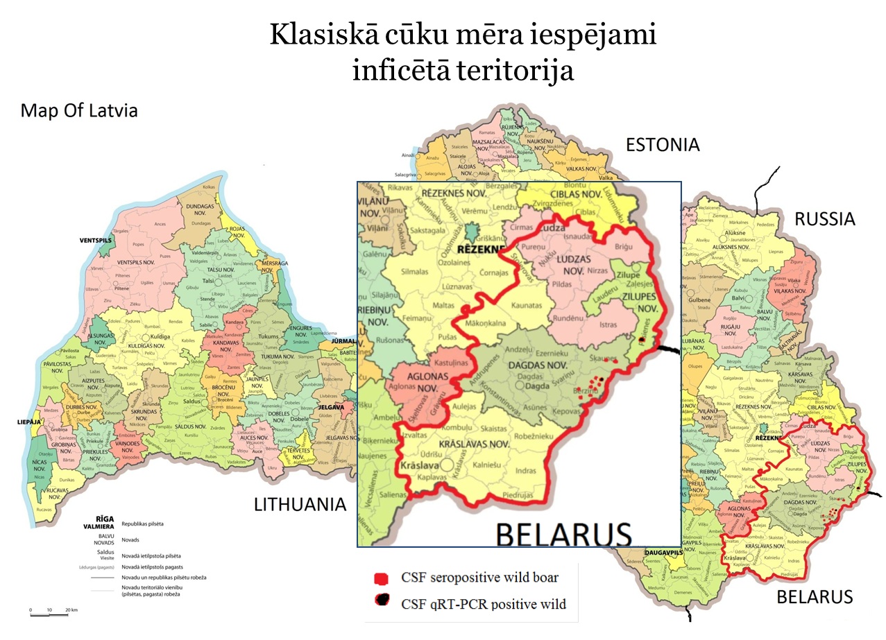 Latgalē noteikta karantīnas zona klasiskā cūku mēra dēļ