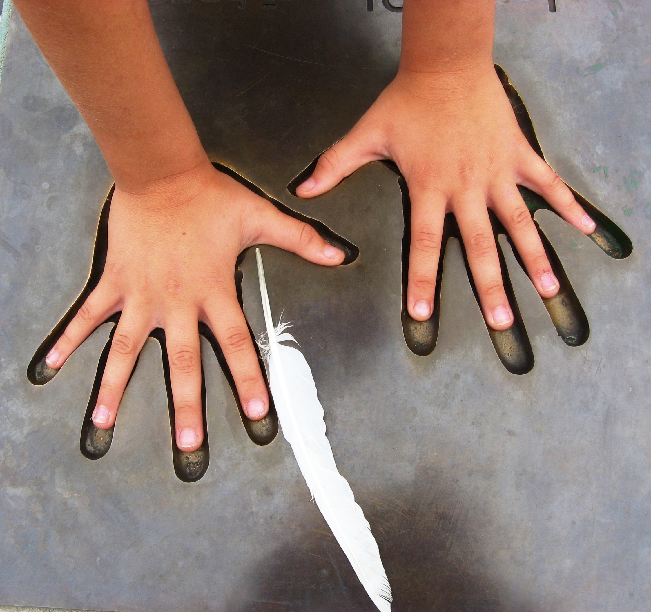 Latvijas mūziķu «Slavas alejā» uzņems jaunus mūziķus