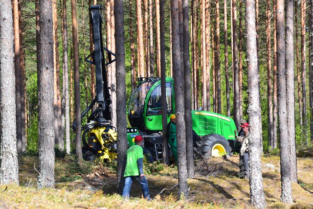 Mežizstrādes pakalpojumu sniedzēji varēs saņemt atbalstu tehnikas iegādei