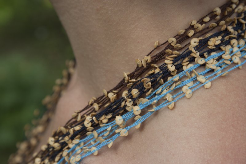 Liepājnieki Muzeju naktī pētīs augu sēklas un stādīs kokus