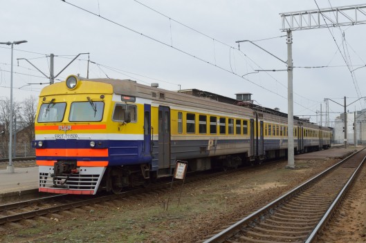 Nolūzis koks kavē vilcienu satiksmi