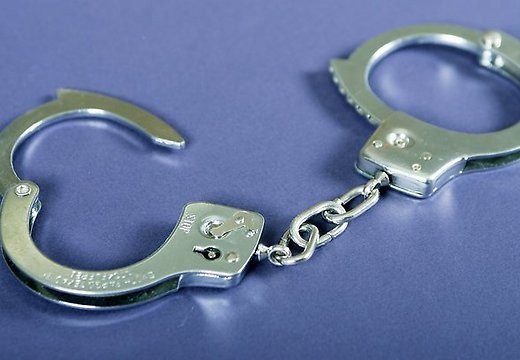 Nosaka notiesātajam nekonfiscējamo mantu sarakstu