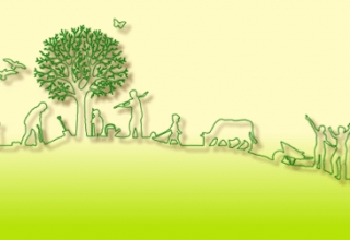 Pagalmu sakopšanas svētki