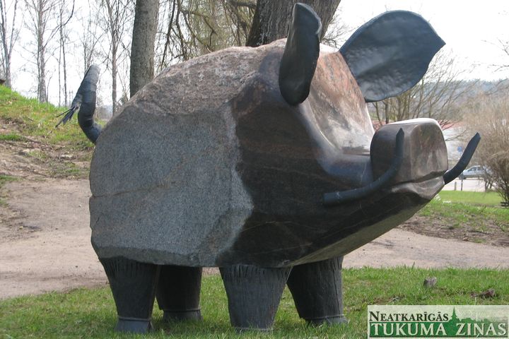 Pie bruņinieku pilskalna Kandavā – mežakuilis