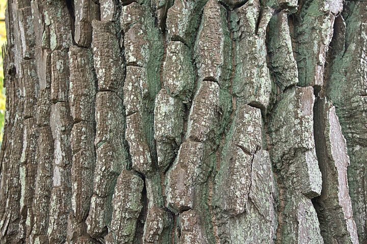 Policijas ziņas (11. oktobris)