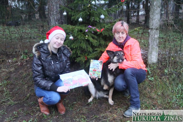 Redakcijā Tukuma dzīvnieku patversmei saziedoti 415 eiro