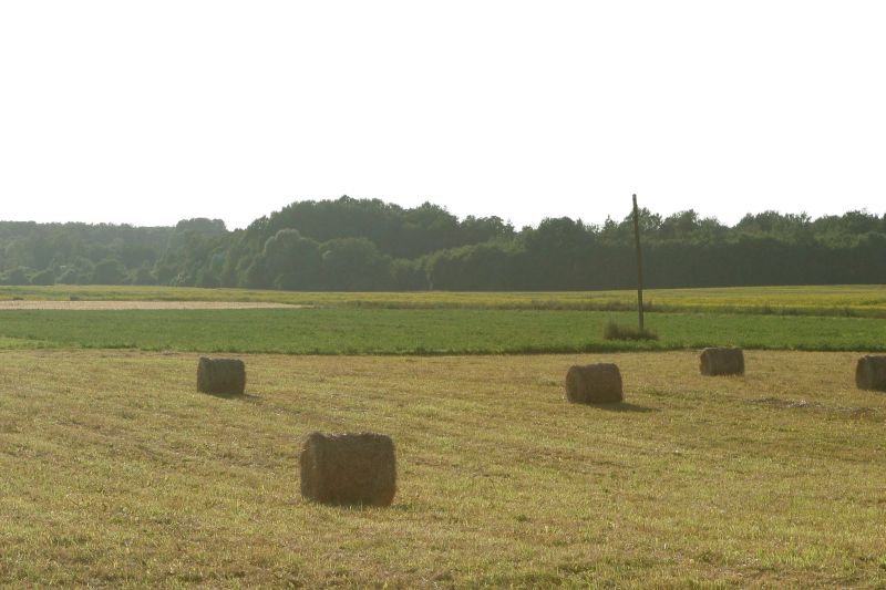 Saeima rosina “dīvānzemniekiem” kļūt ekonomiski aktīviem