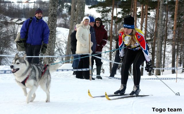 Suņu sacensības ziemeļnieku gaumē