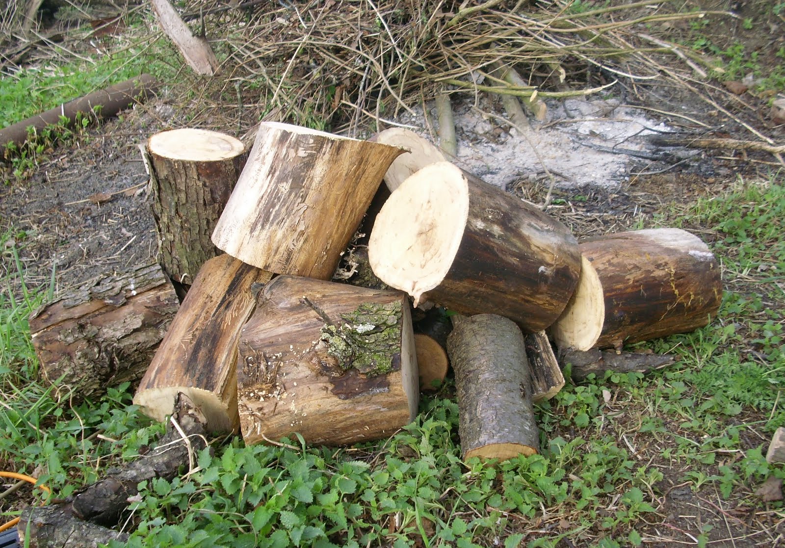Tukumā apzagts malkas šķūnītis par vairāk nekā 1000 latiem