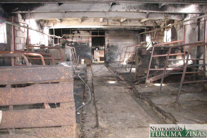Vānē ugunsgrēkā kūtī sadeg govis un teļi