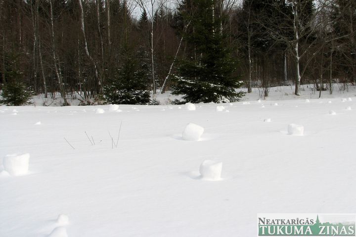 Vējš un putenis Matkulē izveido lielas sniegabumbas