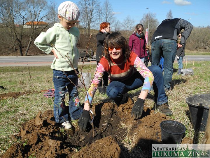 Mālkalnā Tukumā top Ziedoņa dārzs /FOTO/